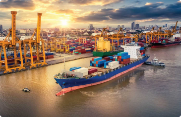 Dự án nổi bật